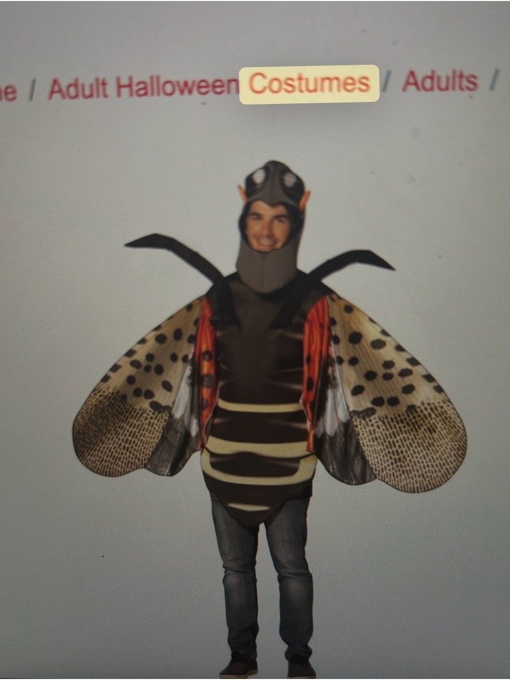 Rasta Imposta Lantern Fly Costume for Adults